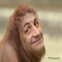 Avatar de Flowpepo