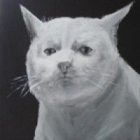 Avatar de Folaillon