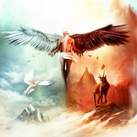 Avatar de Fox45