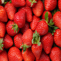 Avatar de Fraise8