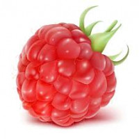 Avatar de Framboise
