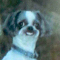 Avatar de Friitche