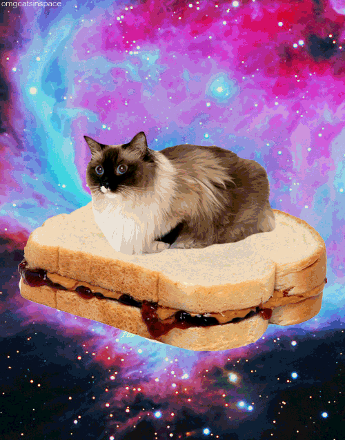 Avatar de Galactic-cat