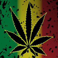 Avatar de Ganja