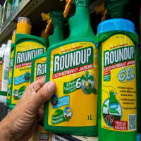 Avatar de Glyphosate