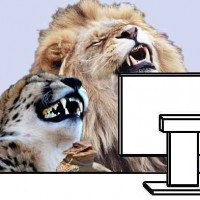 Avatar de GolpeSuertudo