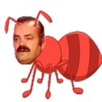 Avatar de Grillonmiam