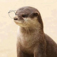 Avatar de GrosseQueue
