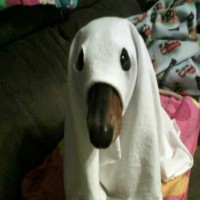 Avatar de Groszgueigue13