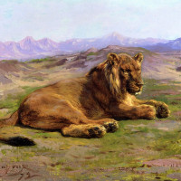 Avatar de Hakila