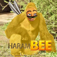 Avatar de HaramBEE