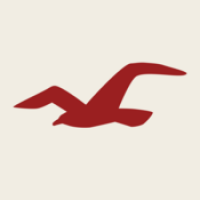 Avatar de Hollister