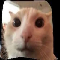 Avatar de Ilguoro