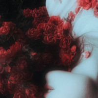 Avatar de Inamorata