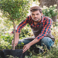 Avatar de Jardinier