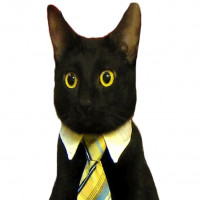 Avatar de JeanCelestin