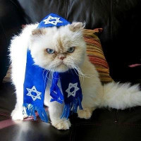 Avatar de JuifNazi
