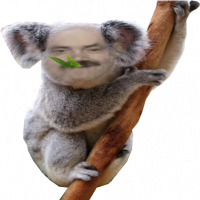 Avatar de KoaIa