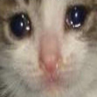 Avatar de LaBiscotteDu69