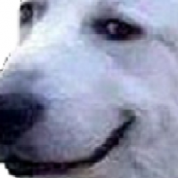 Avatar de LaBiteDuToutou