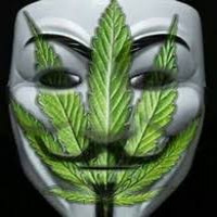 Avatar de LaMainVerte
