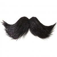 Avatar de LaMoustache