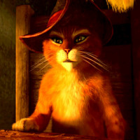 Avatar de LeChatPeauT