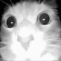 Avatar de Libre