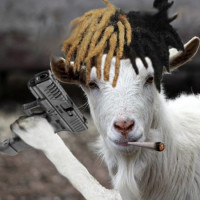 Avatar de Lil-Goat