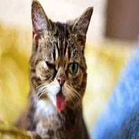 Avatar de LiliDuRhone