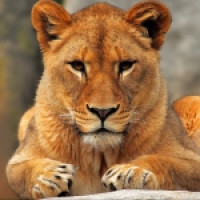 Avatar de LouisAuguste14