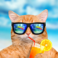 Avatar de LouisAugusteVI