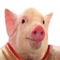 Avatar de LucasDirtyPig