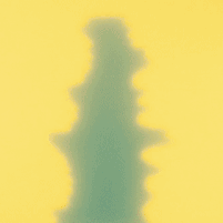 Avatar de LumInvader