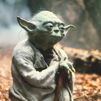 Avatar de M-Yoda