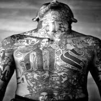 Avatar de MS13