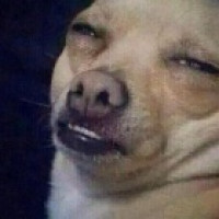 Avatar de MacaroniTime