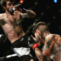 Avatar de Magomedsharipov