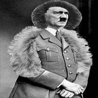 Avatar de MeinFourrure