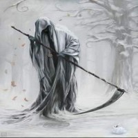 Avatar de MetalMusic666