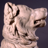 Avatar de Molosse