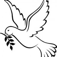 Avatar de MonsieurPeace
