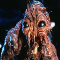 Avatar de Mouchedeter