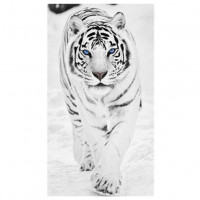 Avatar de Nassimdzz13