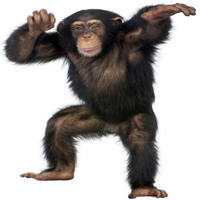Avatar de Naybulenoir69