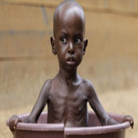 Avatar de NePasFeed