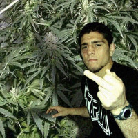 Avatar de NickDiaz
