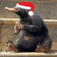 Avatar de Niffleur