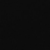 Avatar de Noir