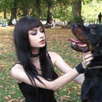 Avatar de Num6